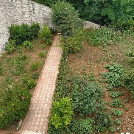 Akyazi Centre ترابزون